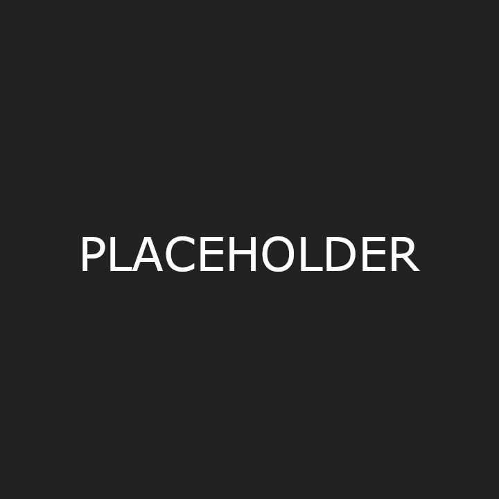 PLACEHOLDER 2